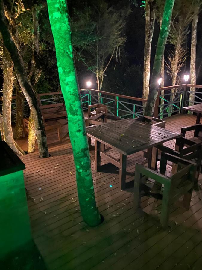 2 Suite, 1 Dormitorio Em Meio A Mata Araucaria A 1,5 Km Centro, Altos De Gramado Exteriér fotografie